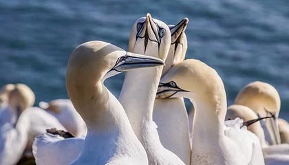 北京高价上海医保提取2025的最新政策(2025年北京上海医保怎么提取现金分享)